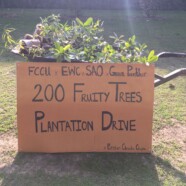 EWC organizes Tree Plantation Drive