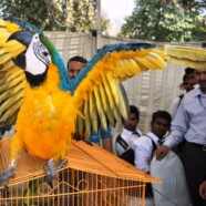 Earth Watch organizes pet show at College